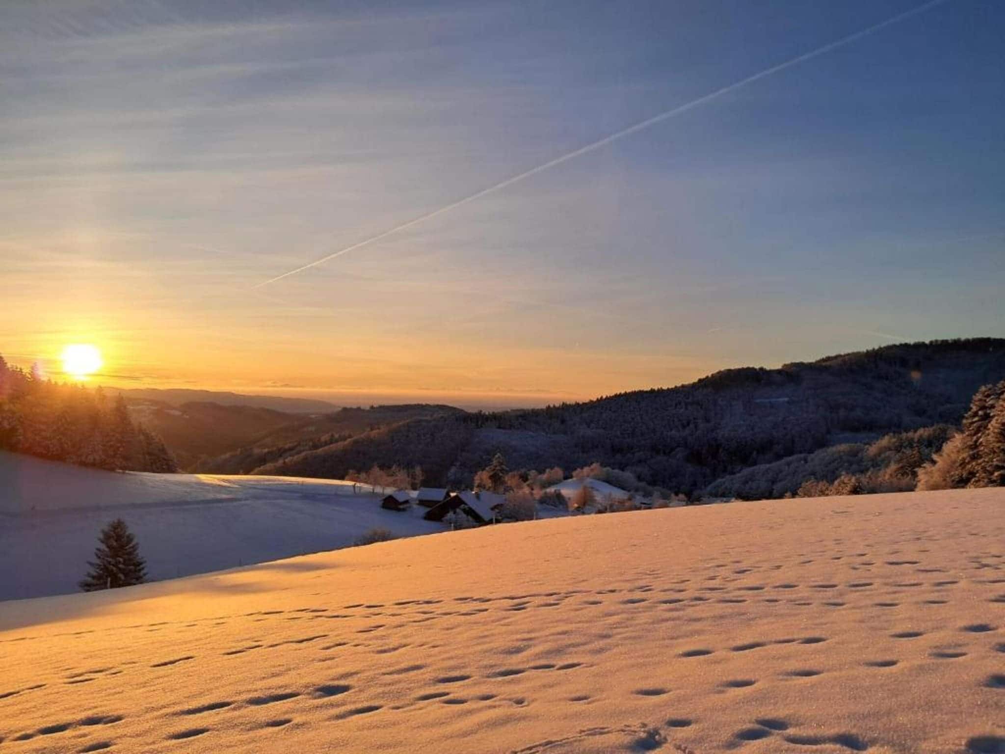Apartment in Kleines Wiesental