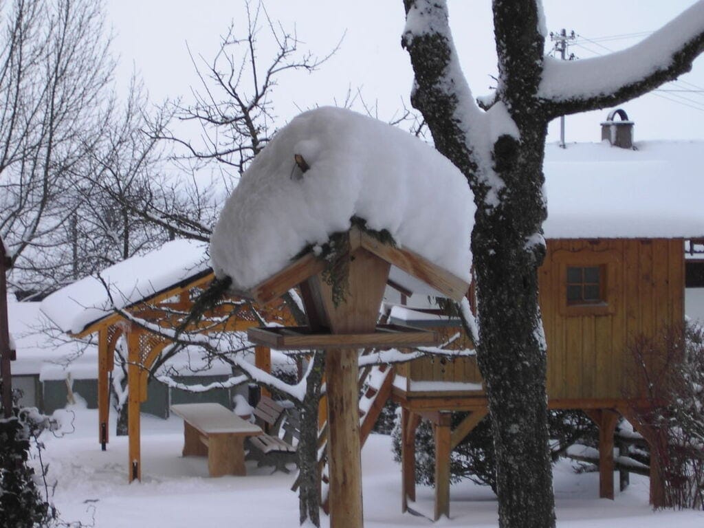 1 - House Rosenegger