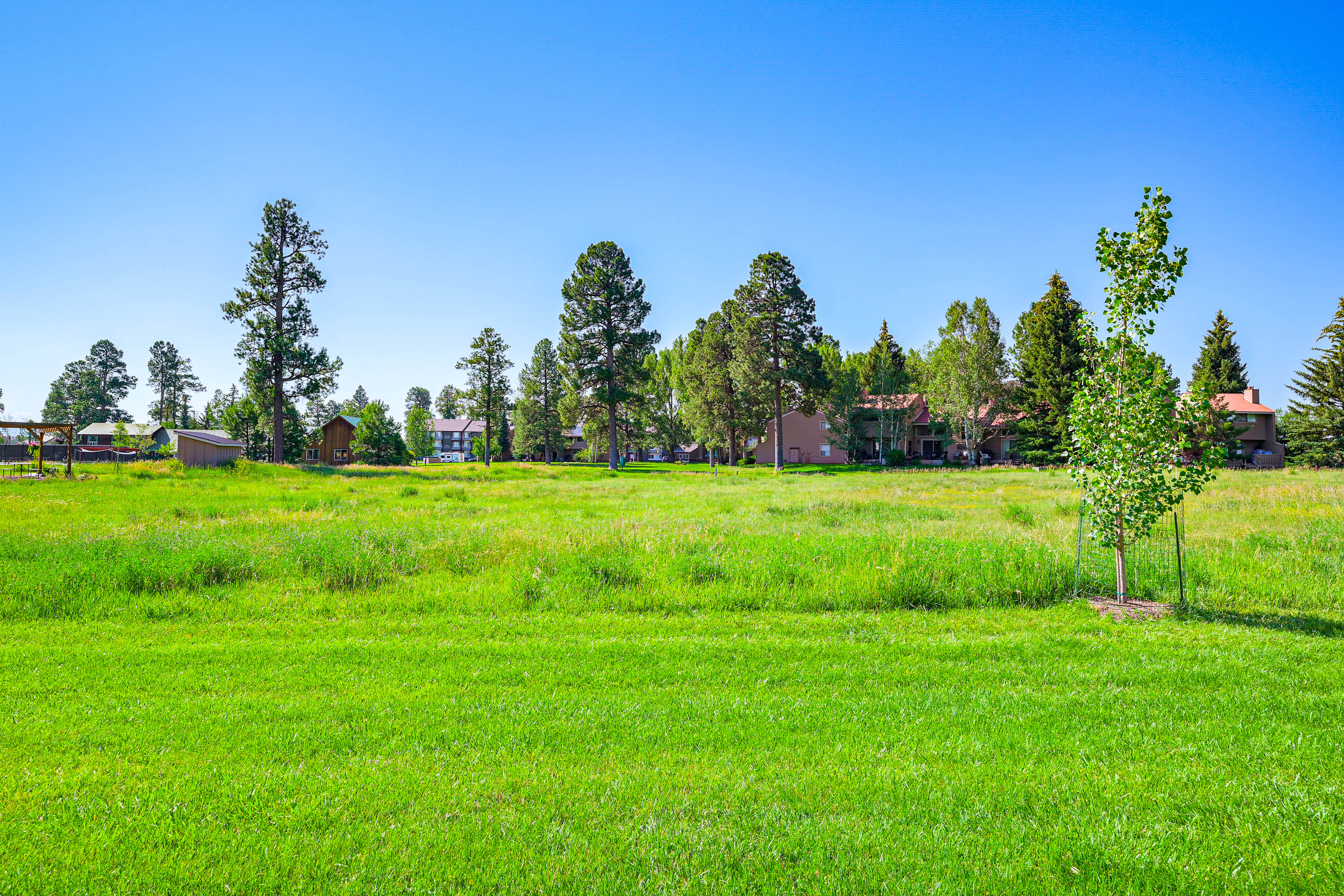 Pleasant Pagosa Springs Condo: 4 Mi to Hot Springs