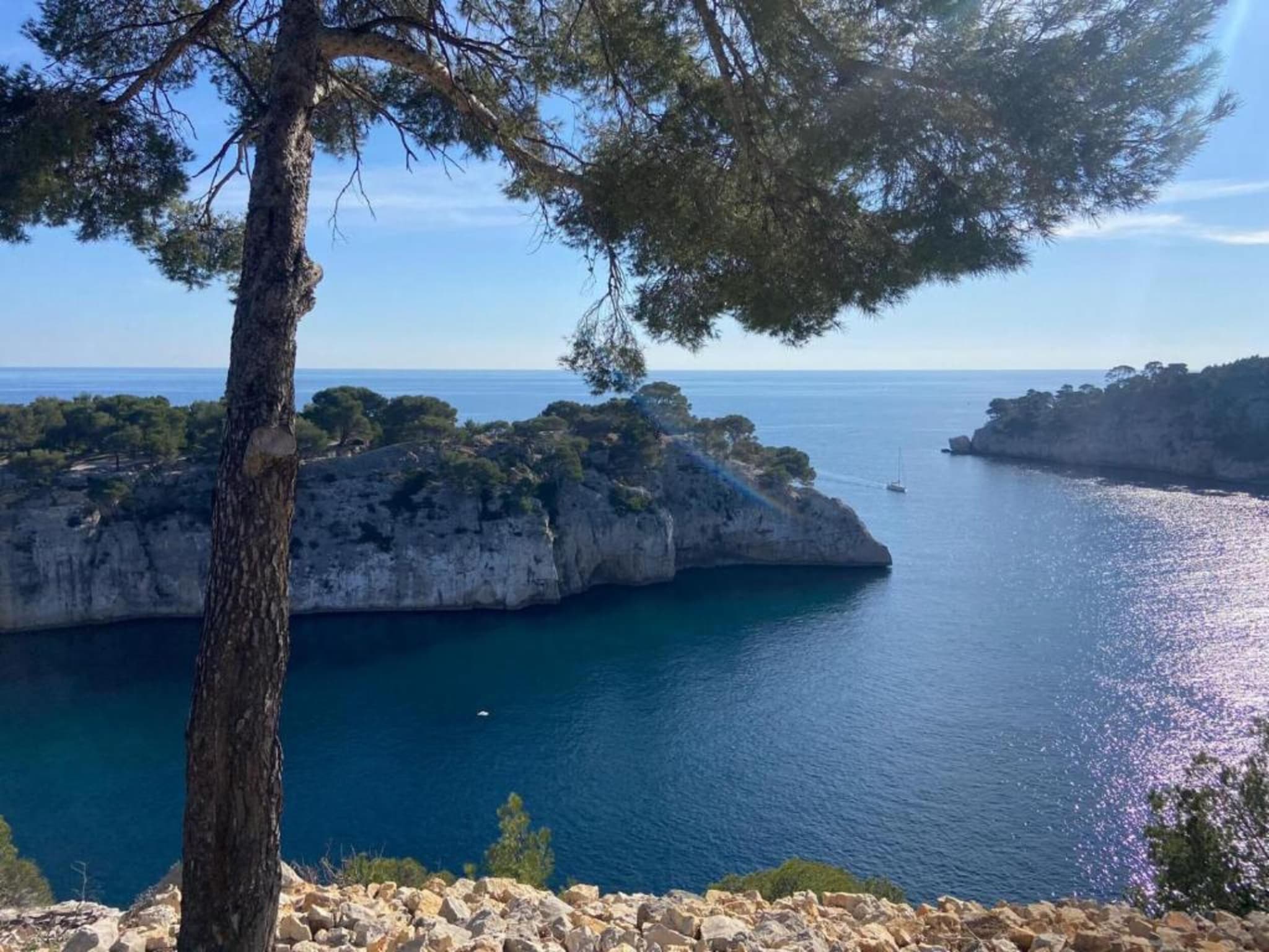 Chalet in Provence with Shady Pine Retreat Chalet in Provence with Shady Pine Retreat