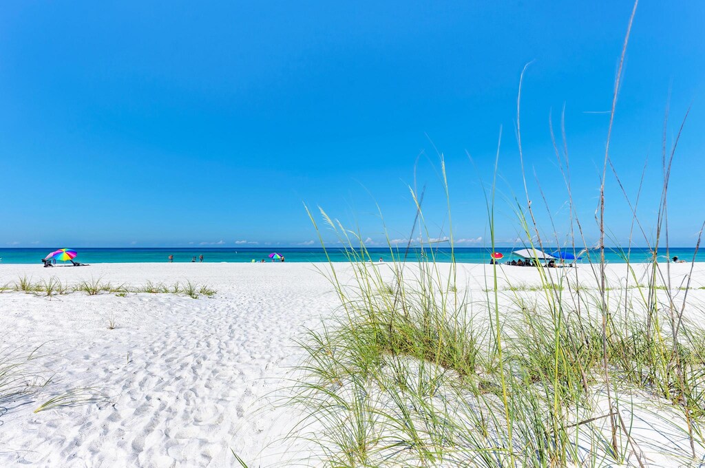 Anna Maria Island Blue Bella Bliss