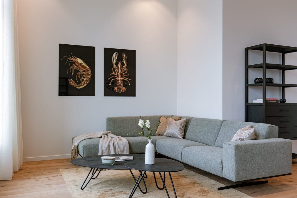 Modern and stylish living room