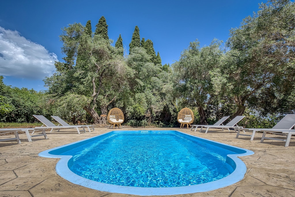 Relax by the pool, framed by olive trees and comfy sunloungers