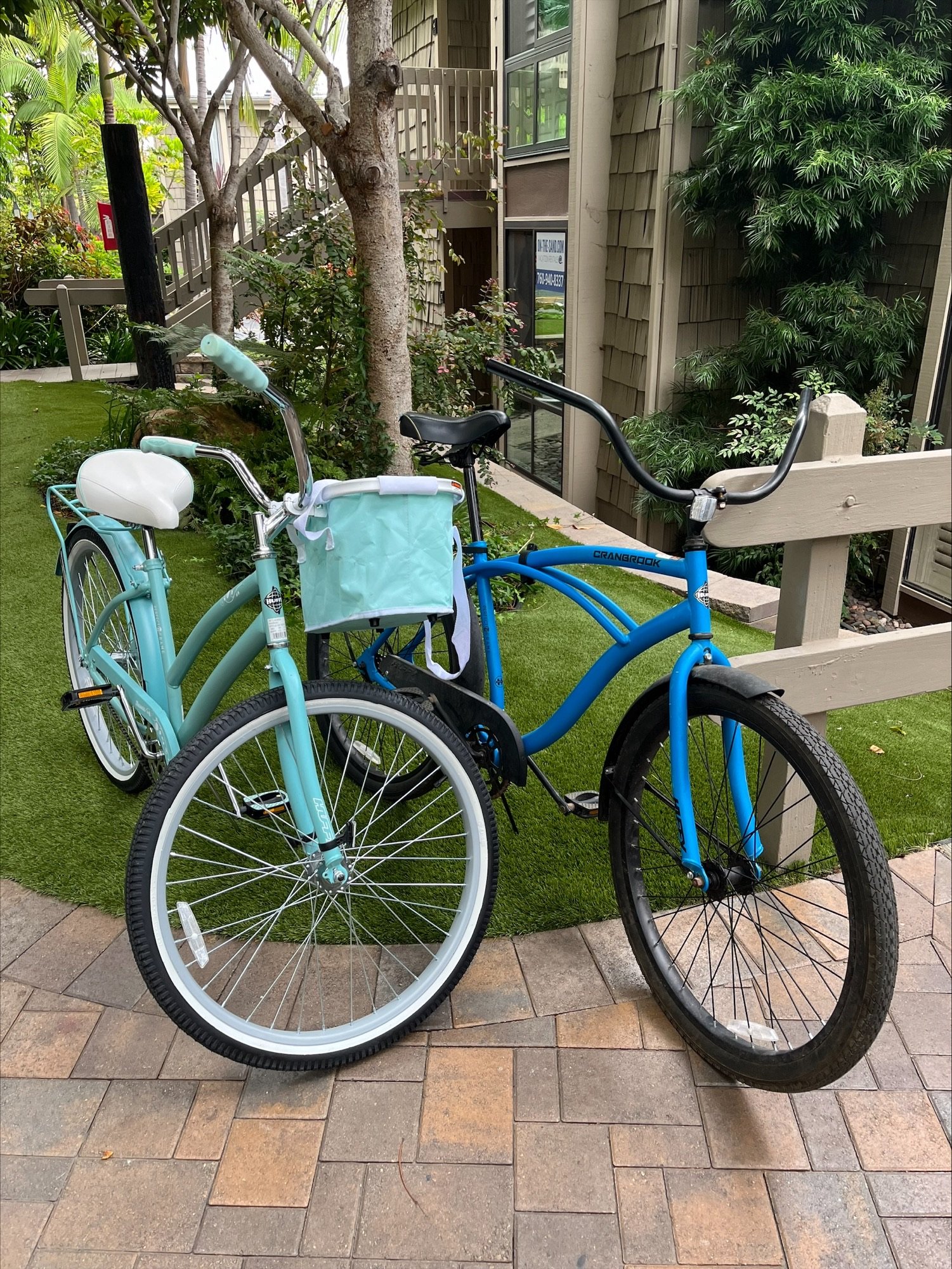 Two bicycles for leisurely rides along the Strand