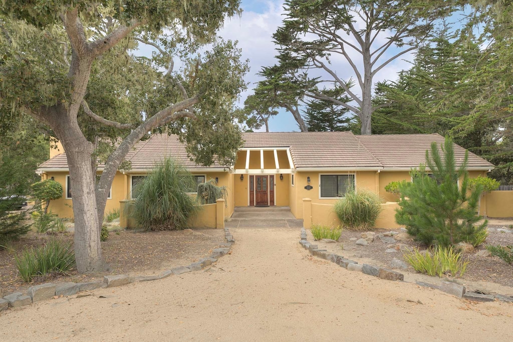 Welcome to "Where the Elk Run"!