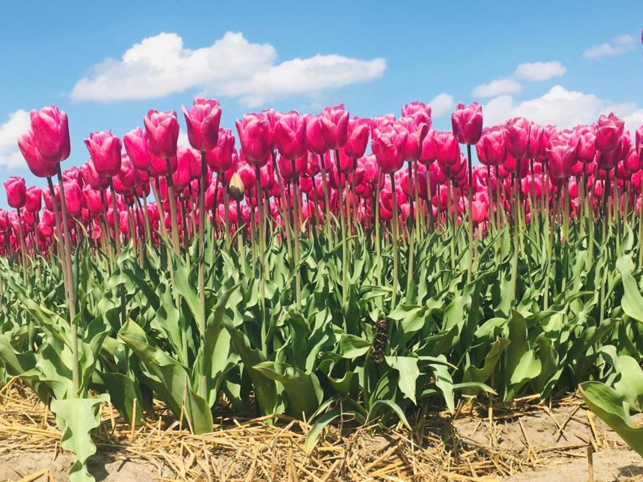 Penthouse with Lake Views