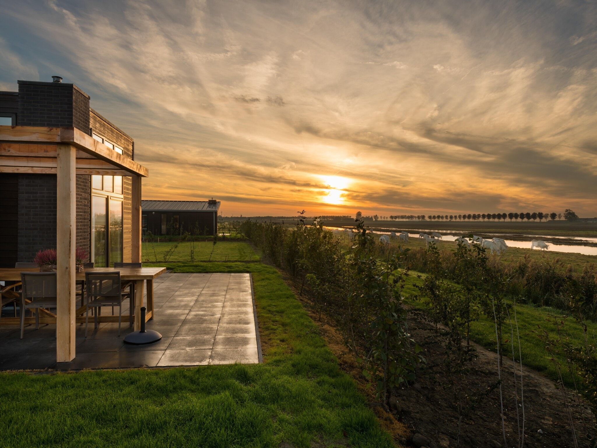 Bungalow in Ouddorp by Nature Reserve