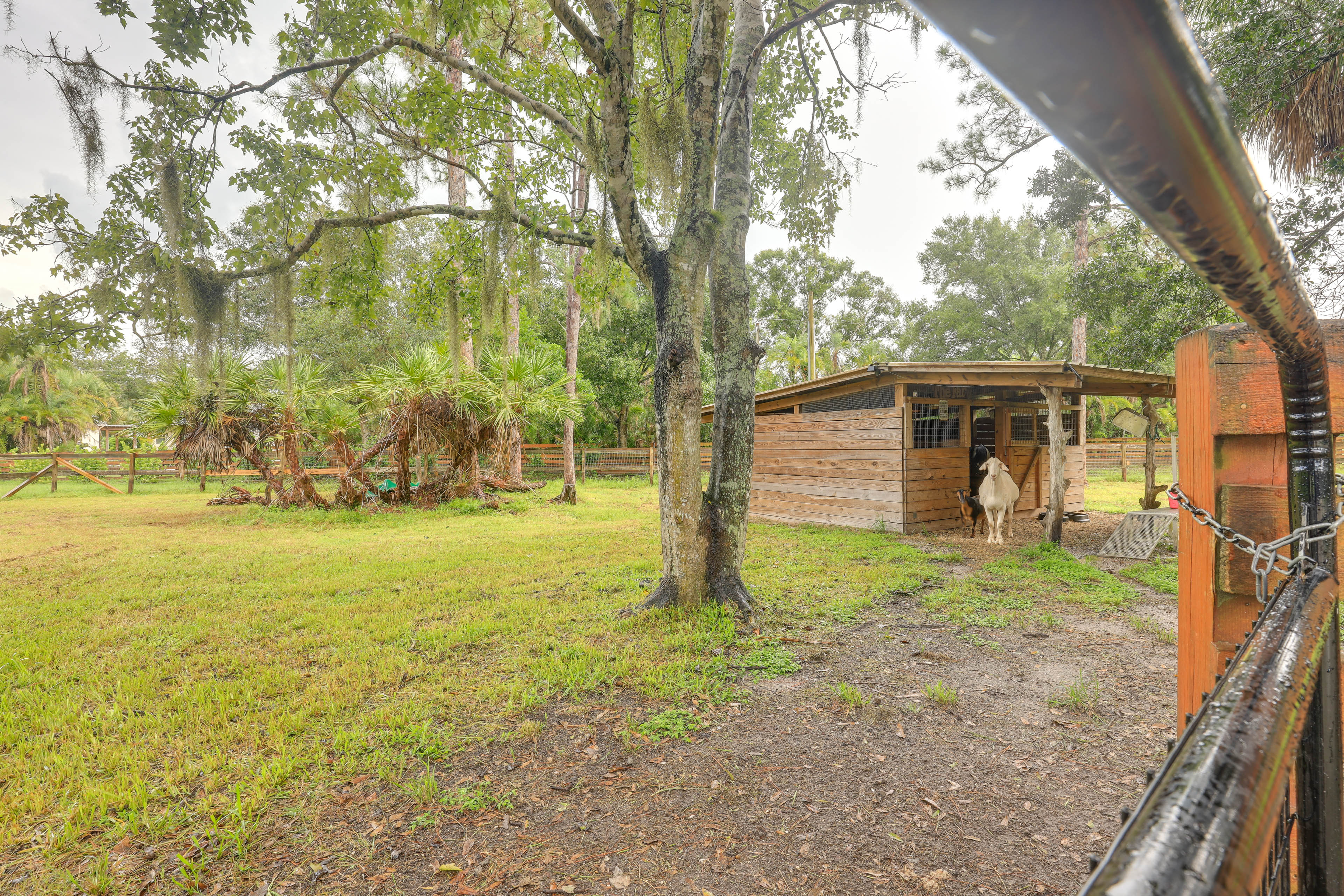 Cabin on 50-Acre Ranch in Palm City!