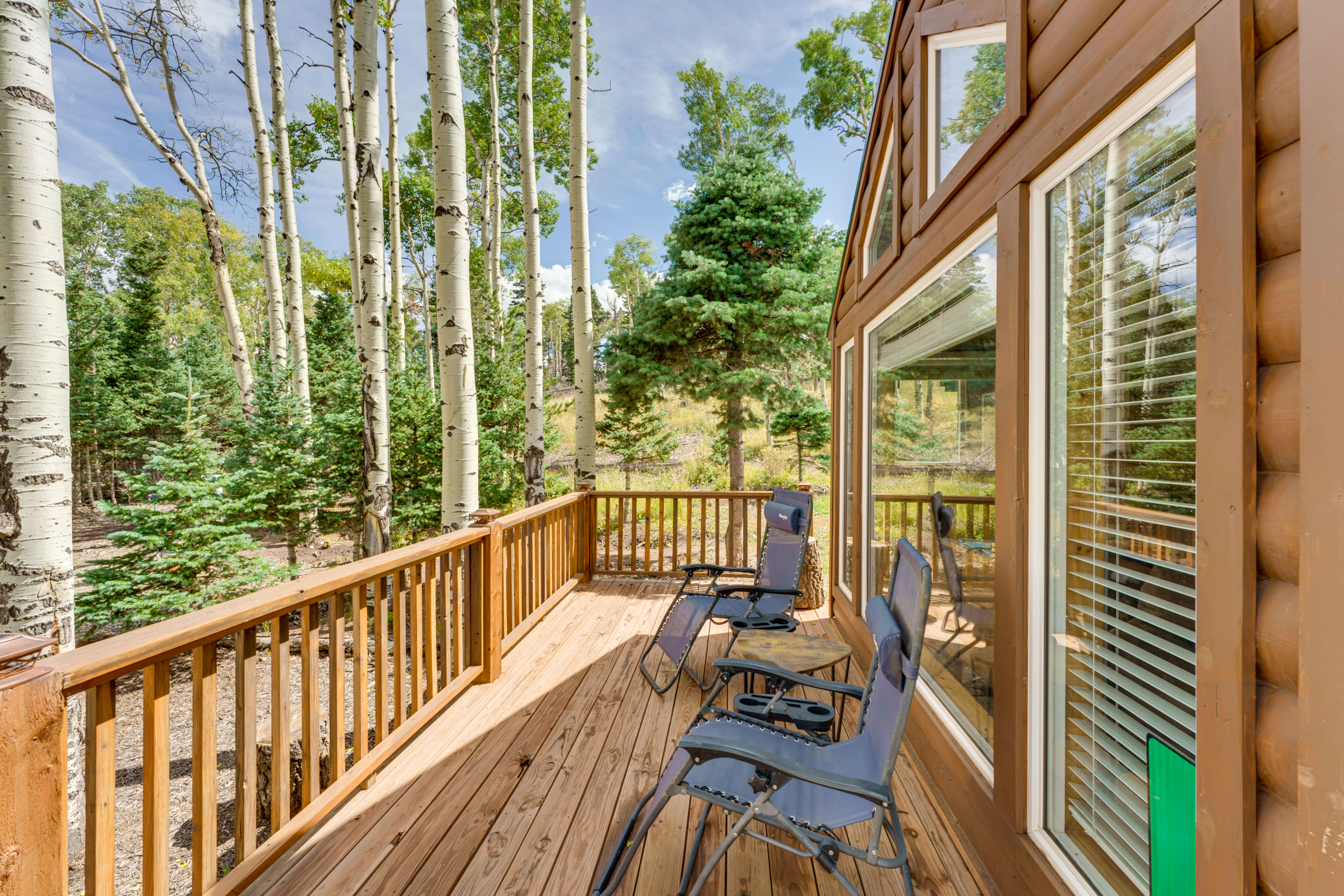 Property Image 1 - Custom Cabin w/ Mountain Views in Fort Garland