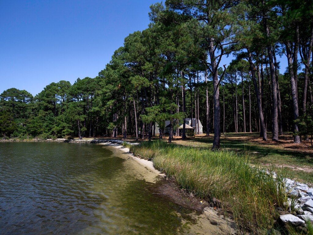 DRAFT photos heron roost 9112024 1136 am55