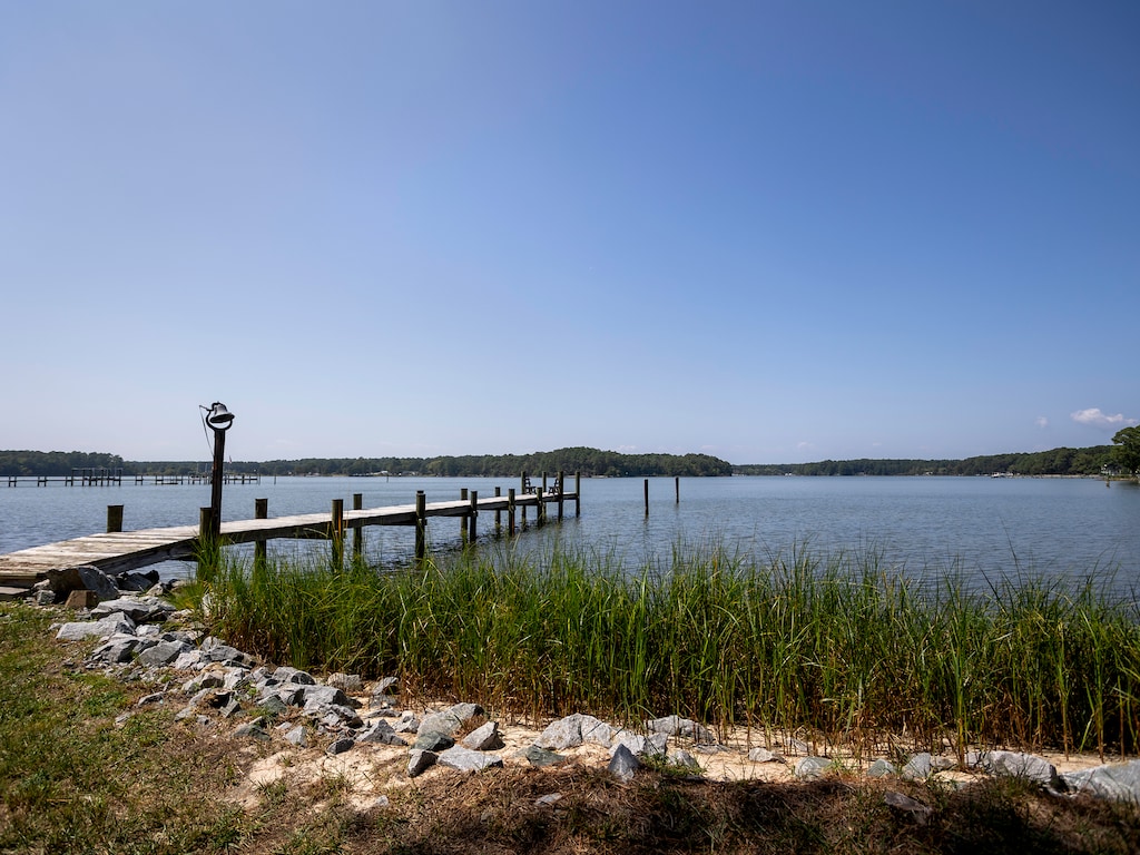 DRAFT photos heron roost 9112024 1136 am53