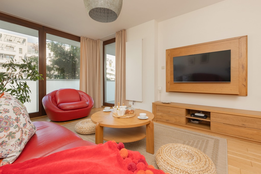 Comfortable, fold-out sofa in the living room. 