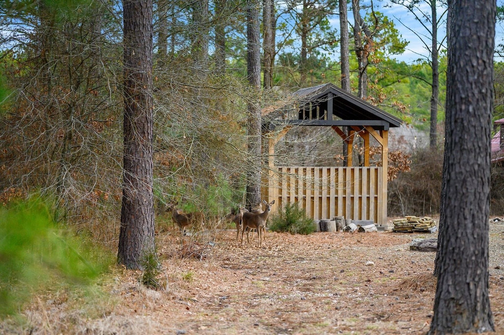 You're bound to see friendly deer during your stay.