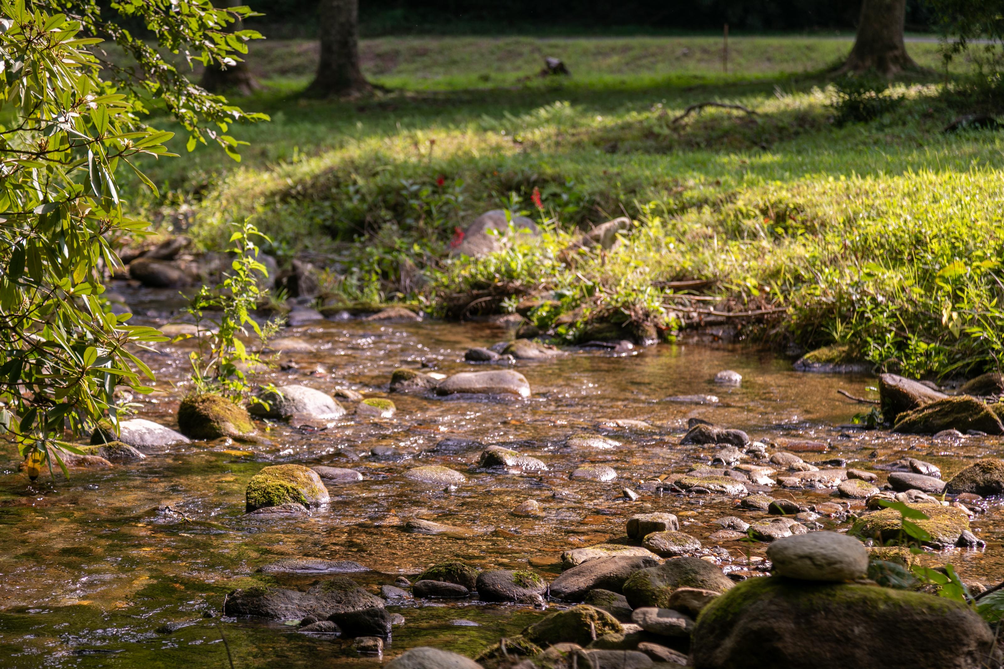 Property Image 2 - Up the Creek