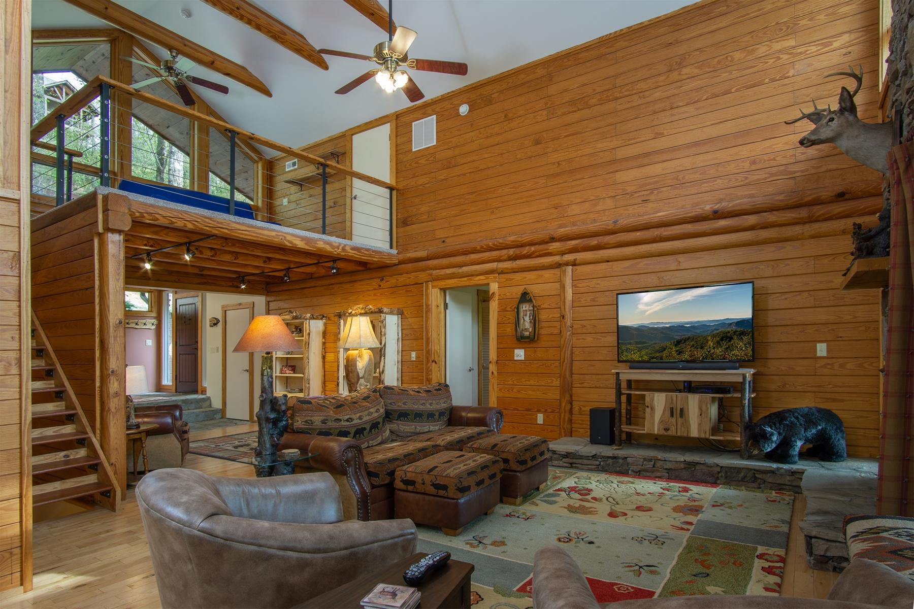 Blissful Bears Mountain Blissful Bears Mountain