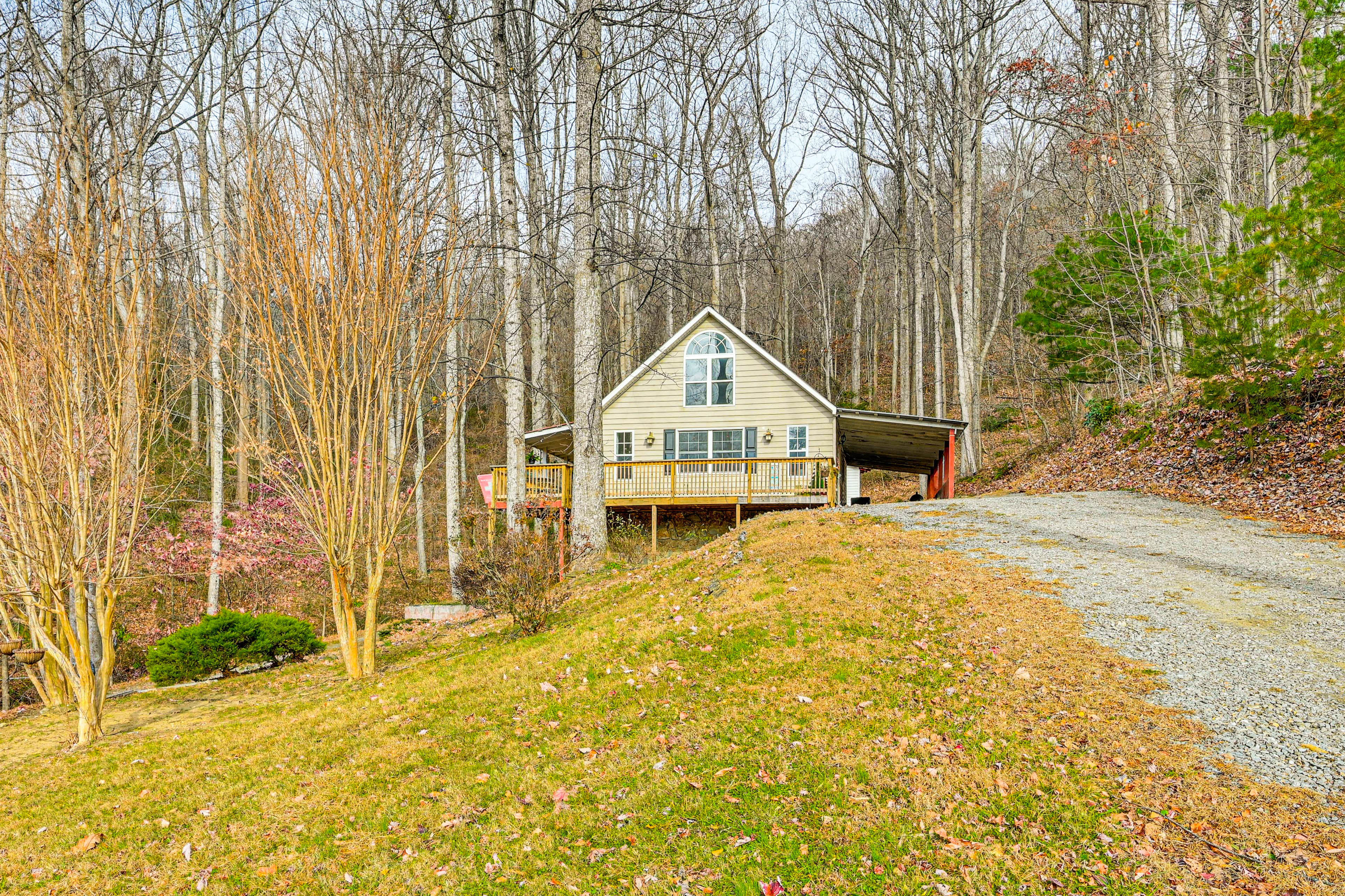 Property Image 2 - 5 Mi to Blue Ridge Parkway: Mountain Cabin in Cana