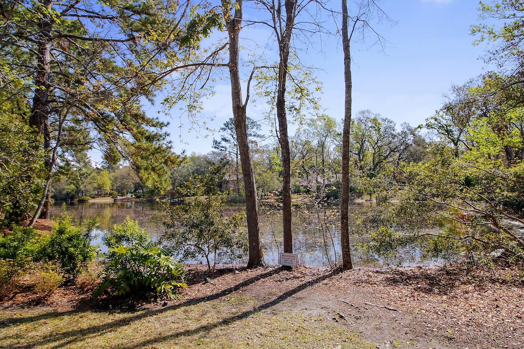 Water View from Yard