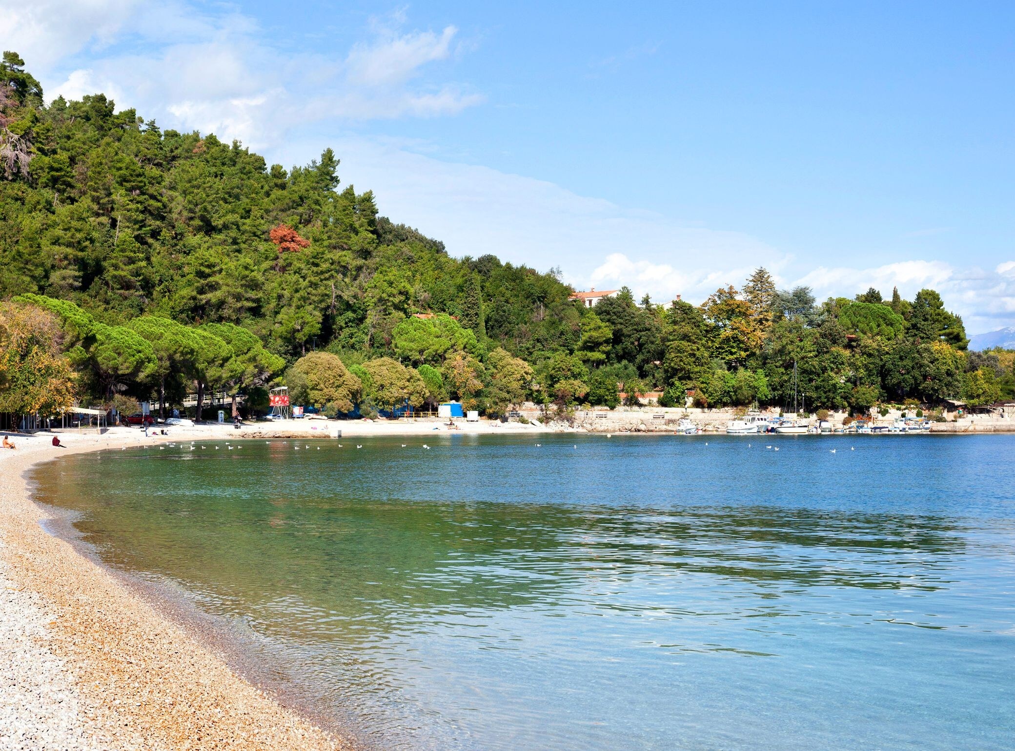 Property Image 2 - Splendid Beachfront Medveja Apartments