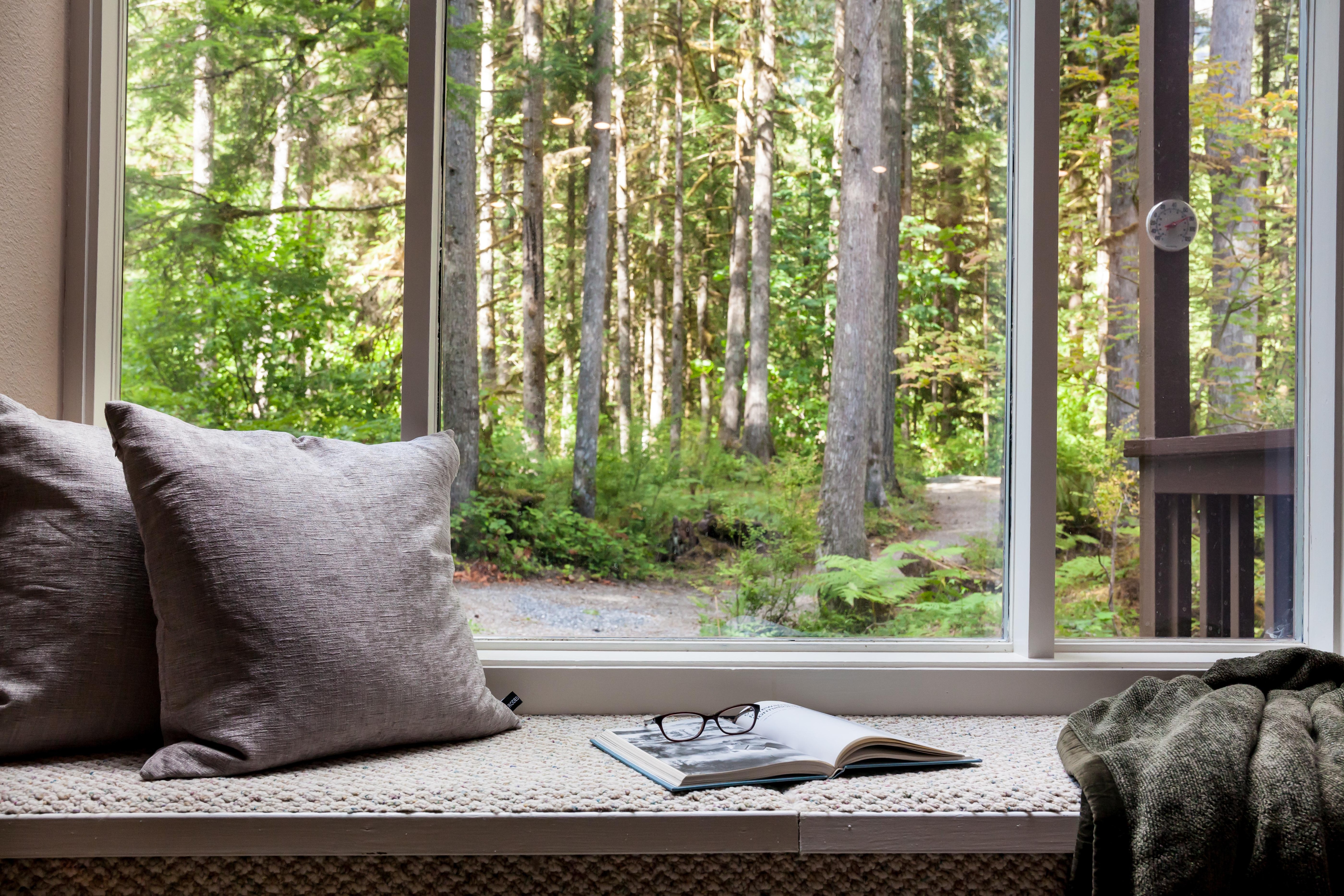 Mt Baker Den, Sleeps 4