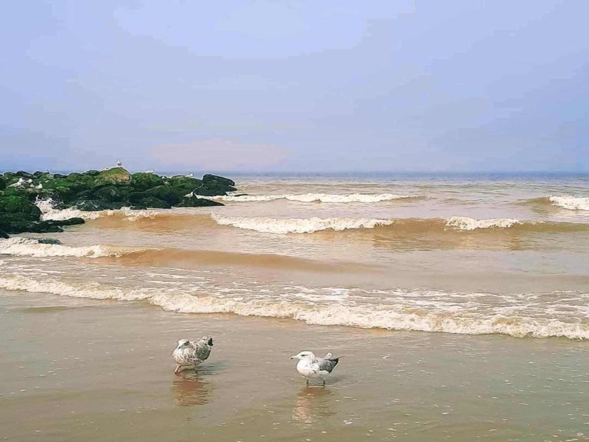 Apartment in Nieuwpoort near the Beach