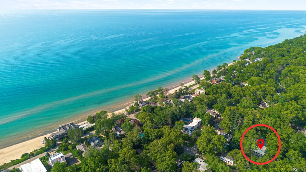 From treetops to shoreline in under a minute.