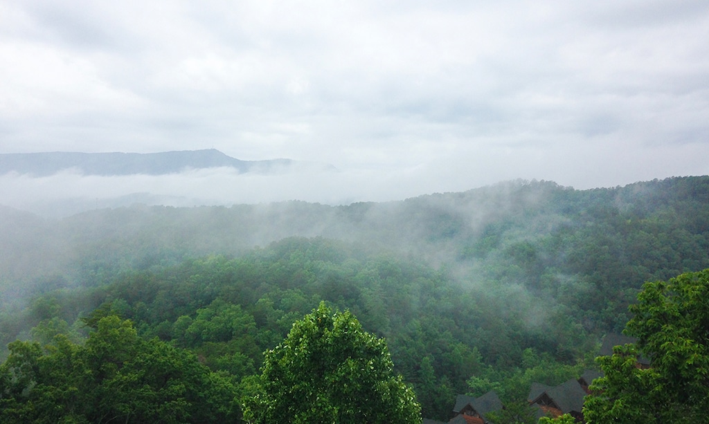View from Deck