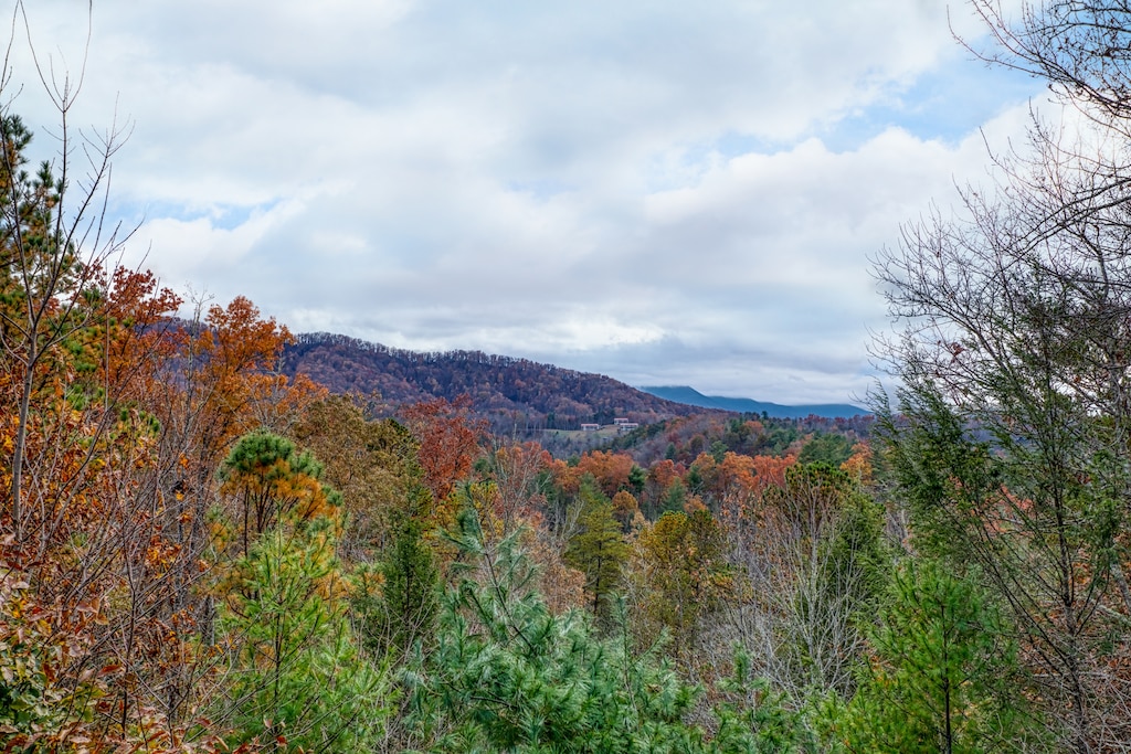 Fall colors on the Smoky Mountains at Enchanted Evening, a 1-bedroom cabin rental located in Pigeon Forge
