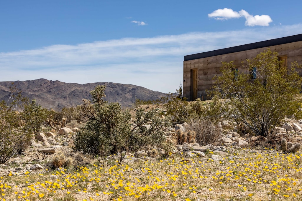 Unique Rammed Earth Home