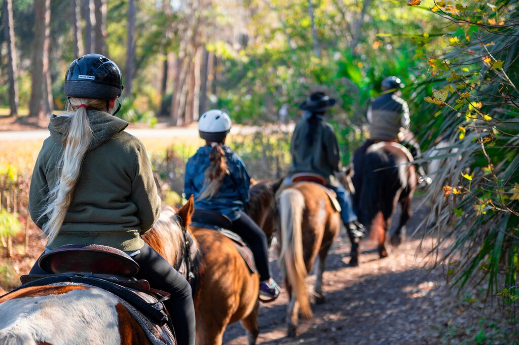 Lawton Stables (Trail rides and petting zoo!)