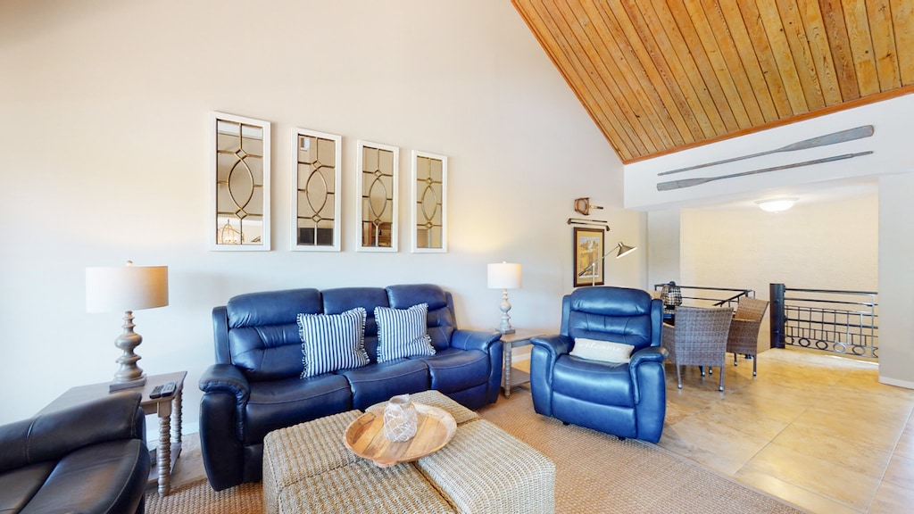 Living Room with Lots of Light