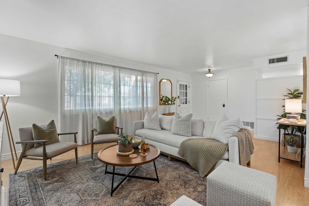 Cozy boho living area with nice natural light.