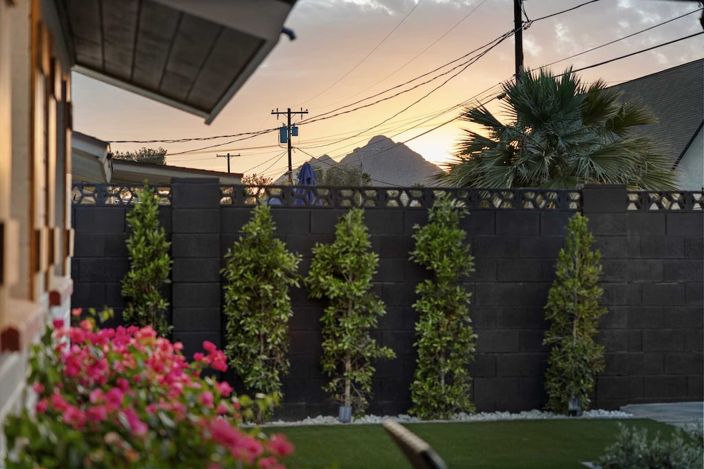 Serene corner of the garden, featuring lush greenery.