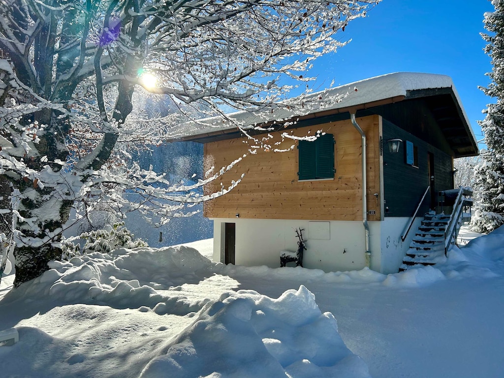 the charming chalet from the driveway 
