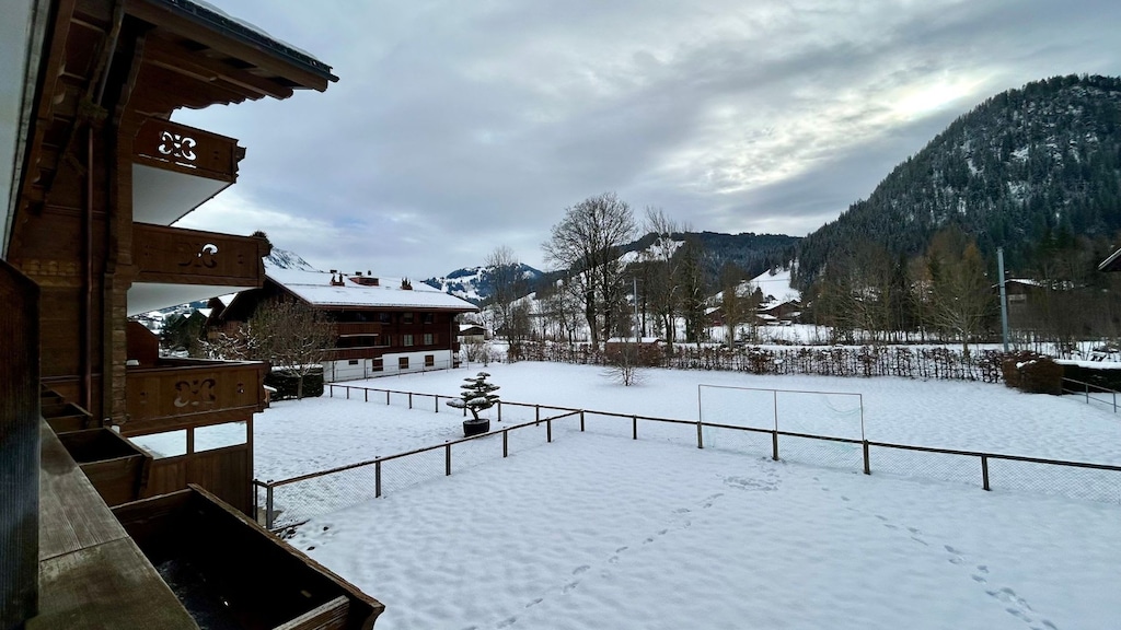 back yard from balcony 