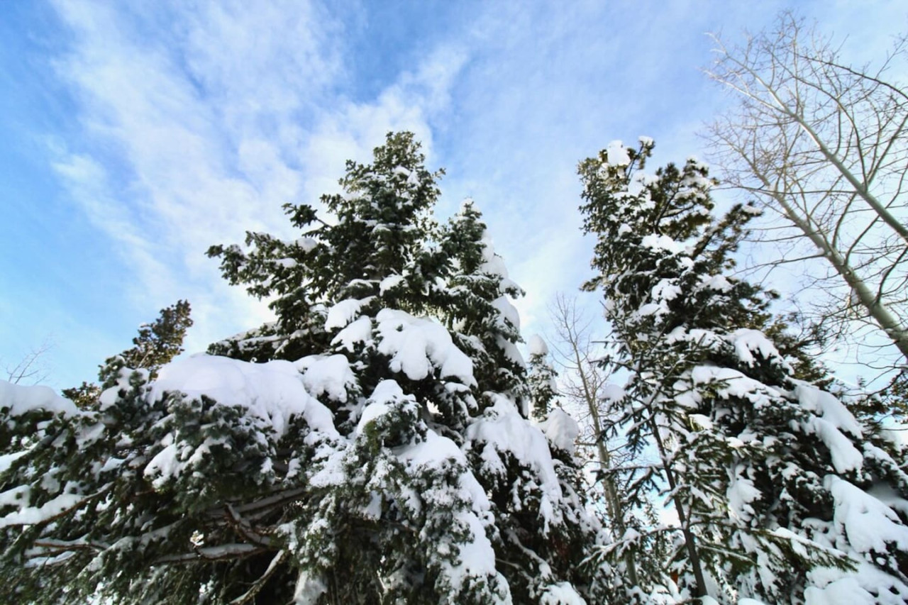 Lovely Log Cabin with Fire Pit