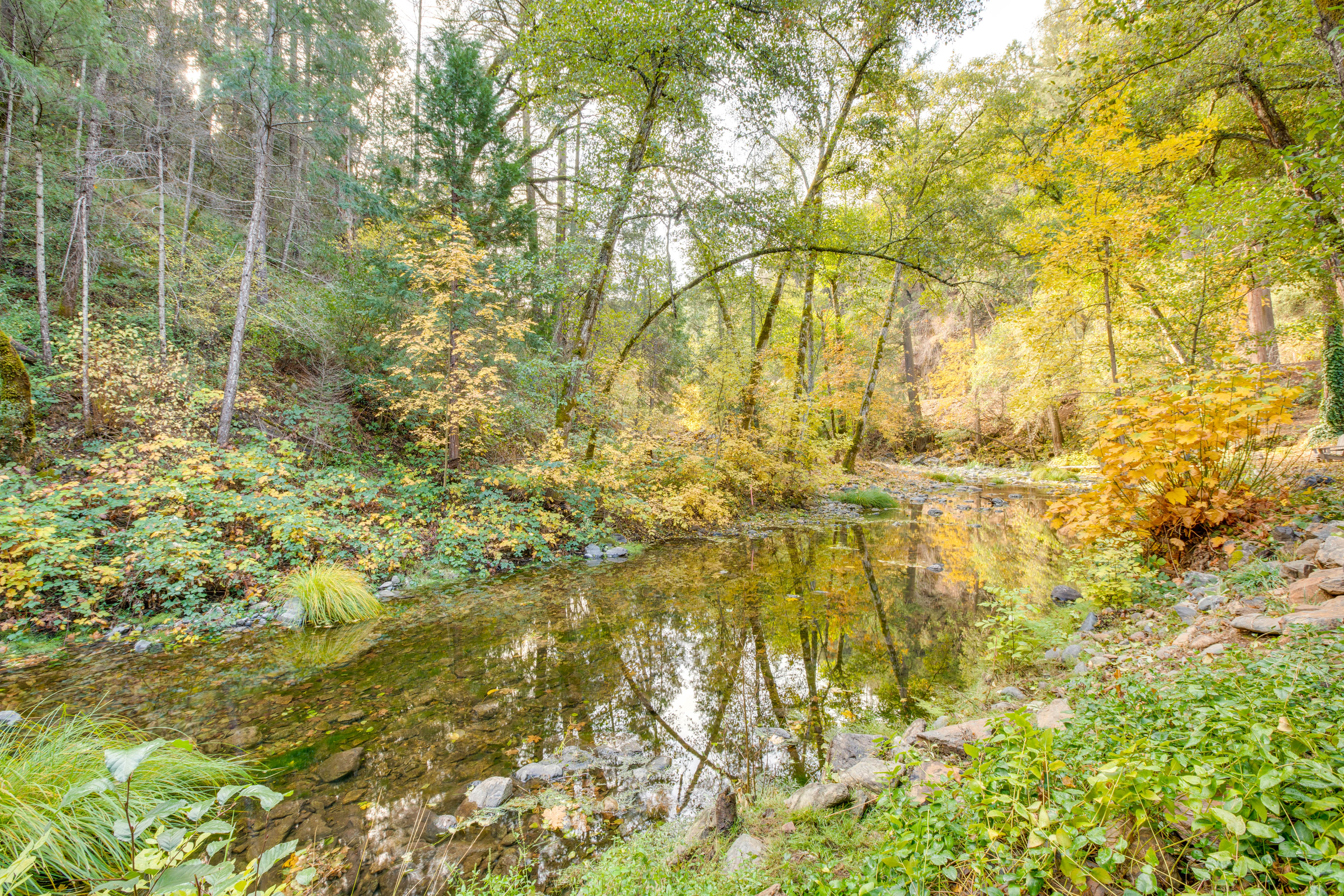 Property Image 2 - Bear Lodge, Waterfront Cabin Sutter Creek