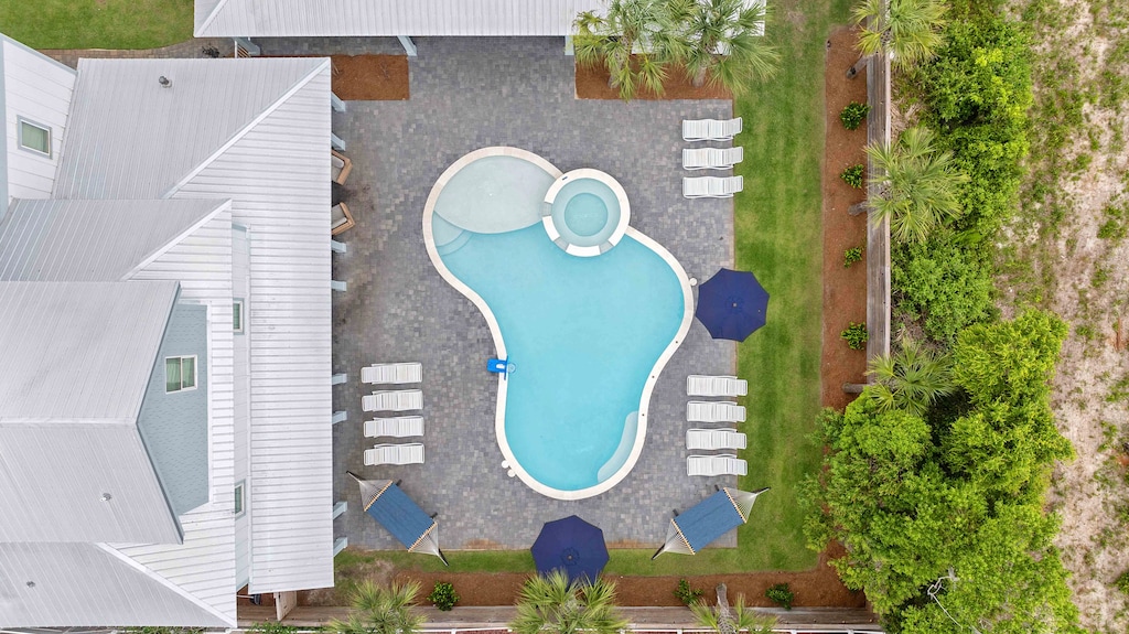 Breathtaking aerial view of the backyard pool and spa.