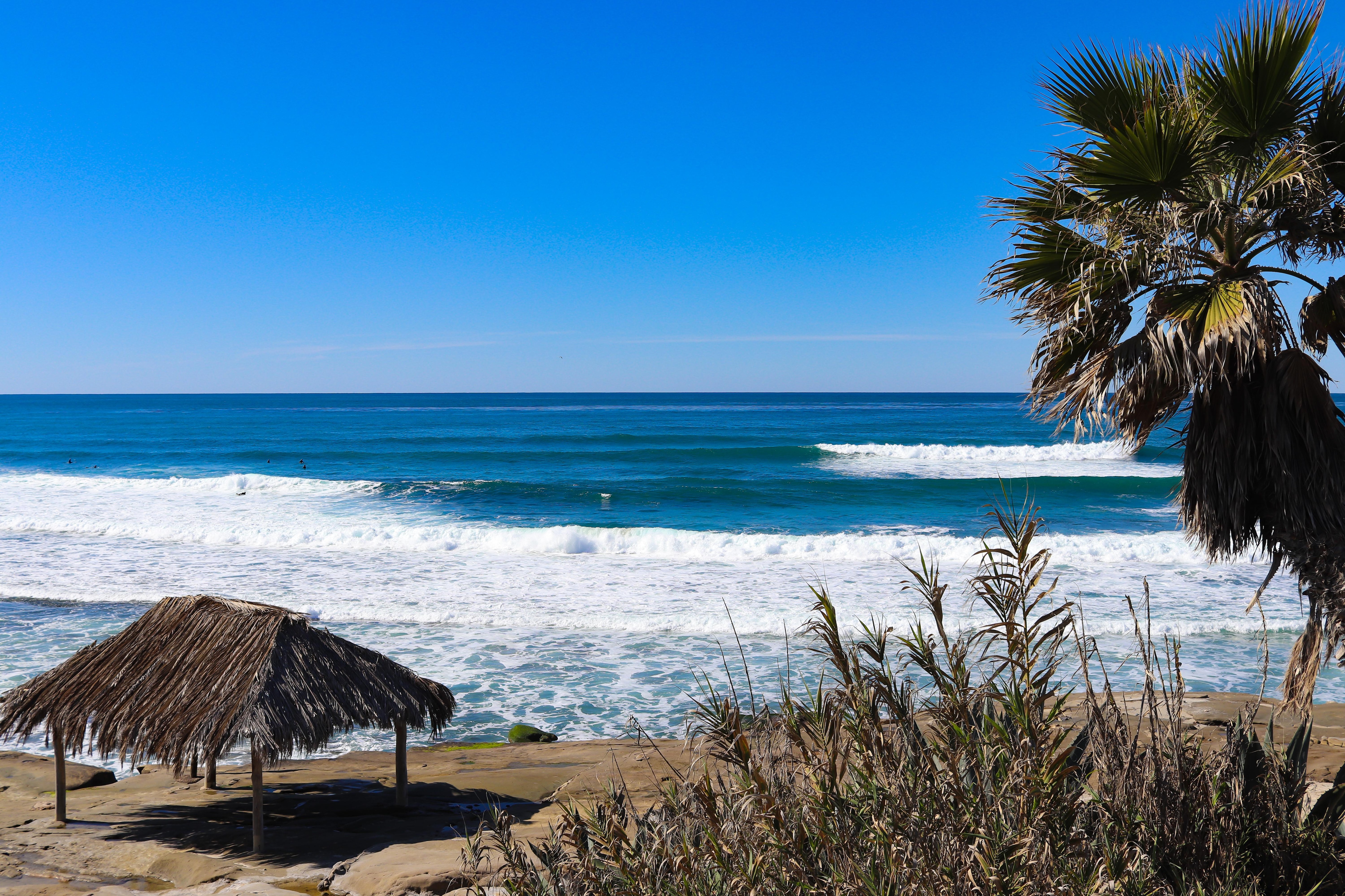 Property Image 2 - Surf Spot 1