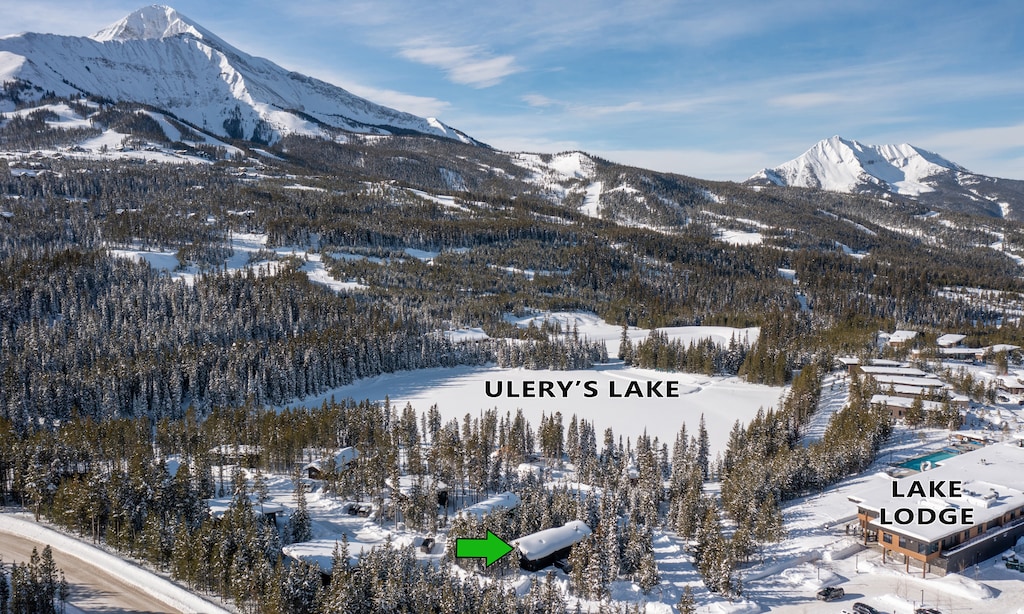 Lake Cabin 4 aerial5 marker