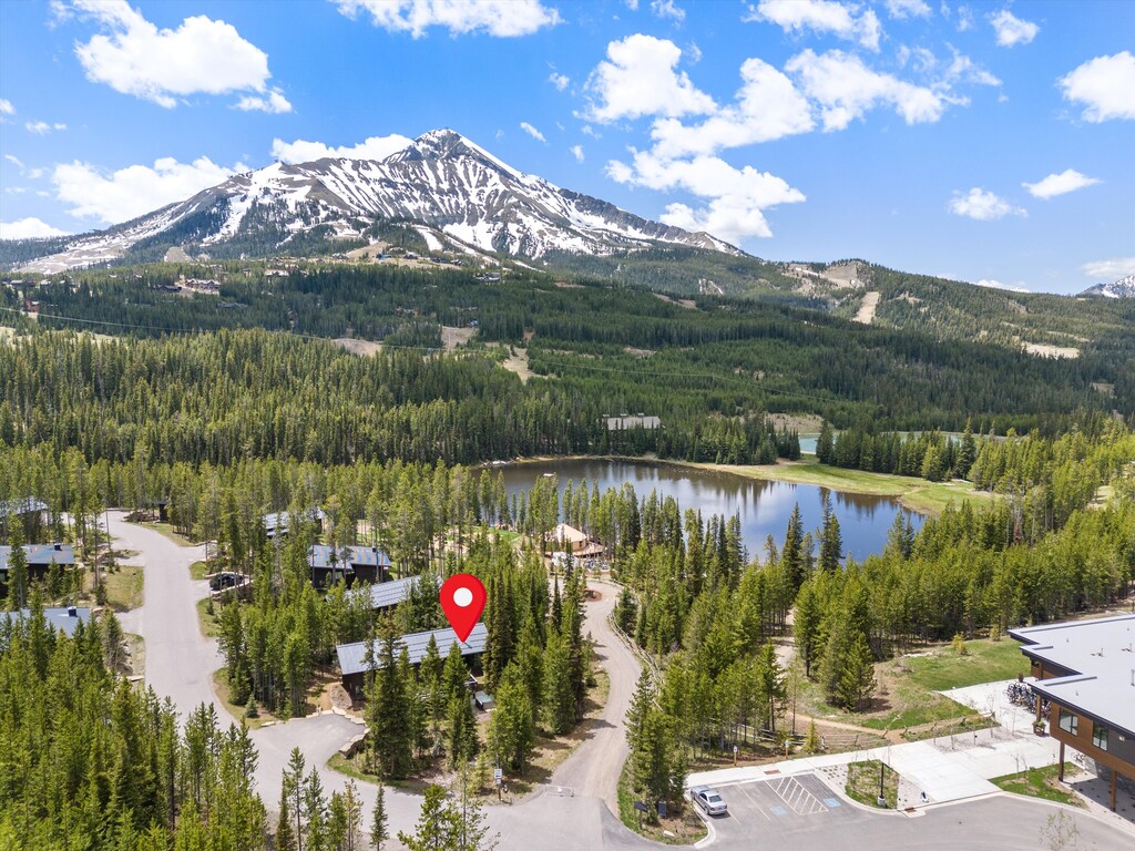 07-DJI_20240611130458_0705_D_Pin