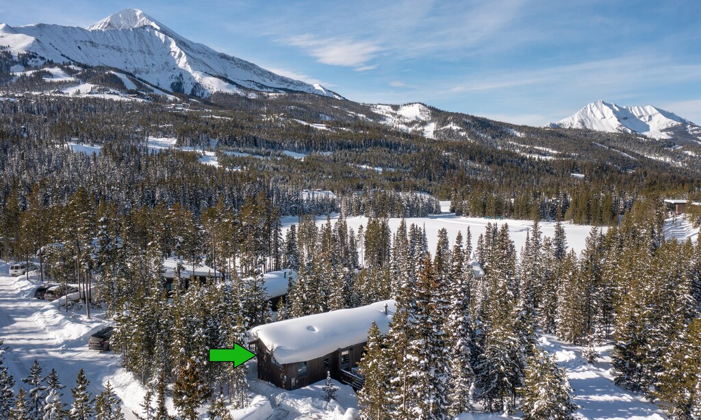 Lake Cabin 4 aerial1 marker