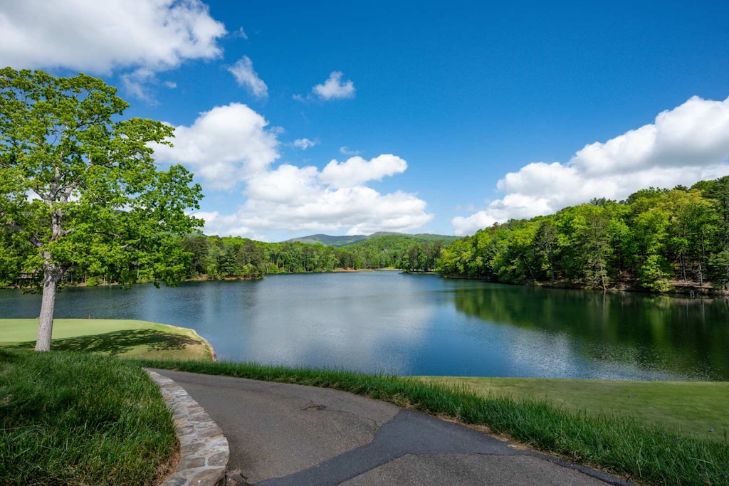 Big Canoe Lakes - North GA