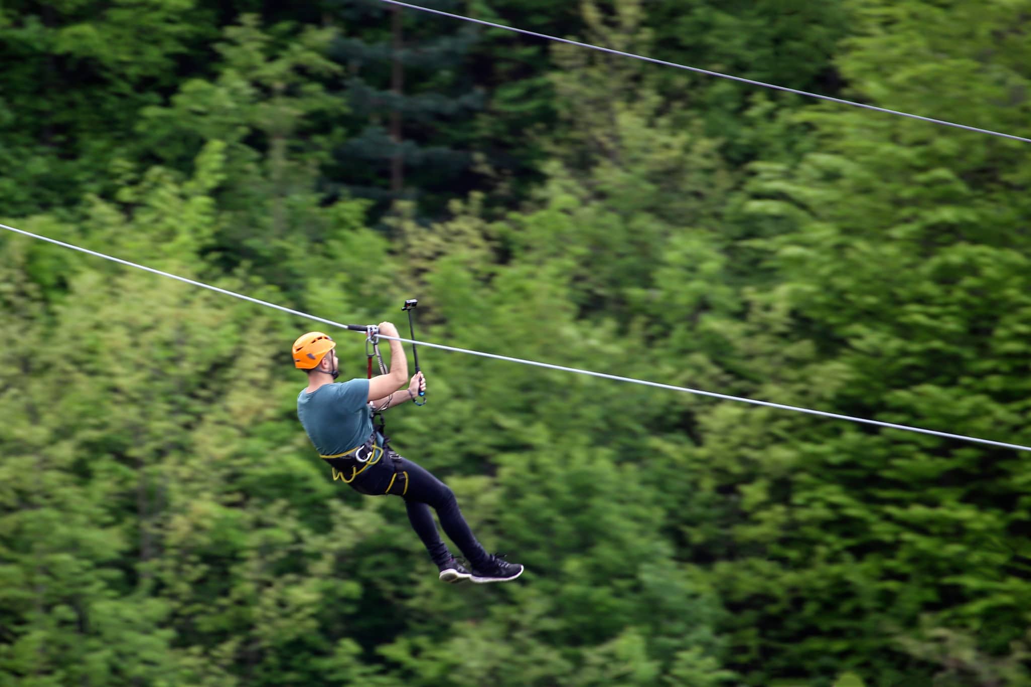 Book a zip-lining tour with your concierge and thrill above the trees!
Book a zip-lining tour with your concierge and thrill above the trees!