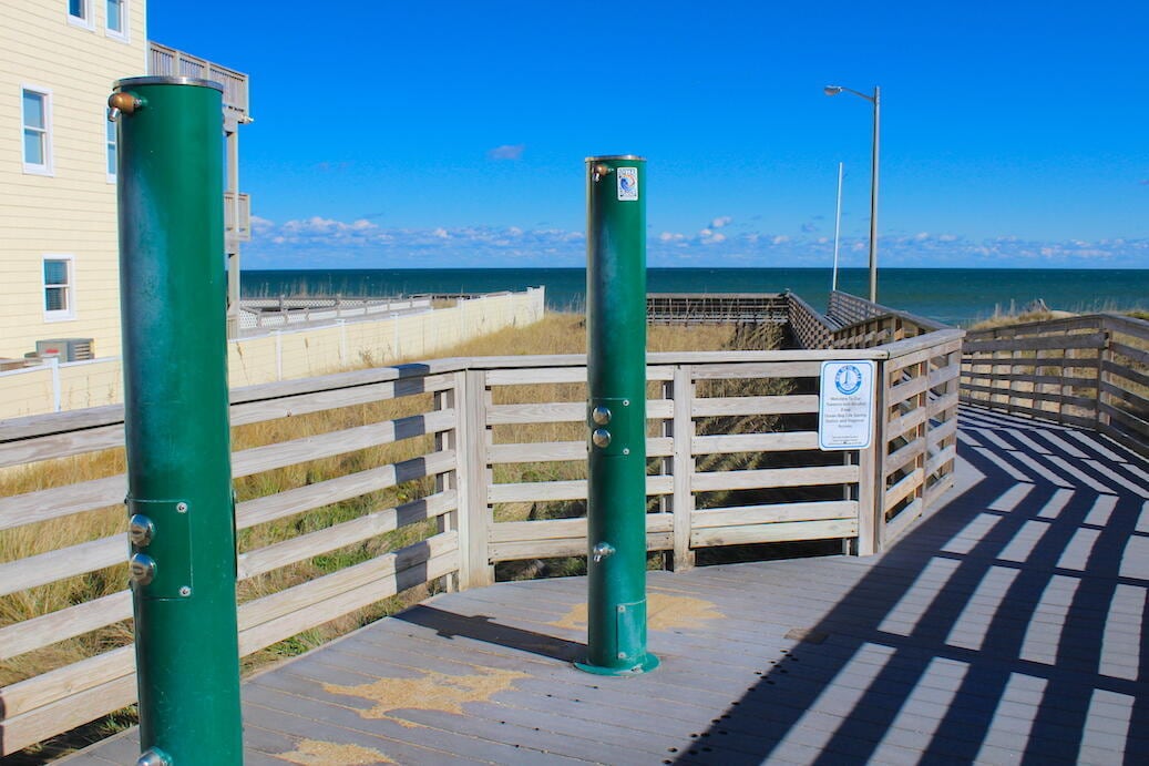 Driftwood at Hamilton Cay