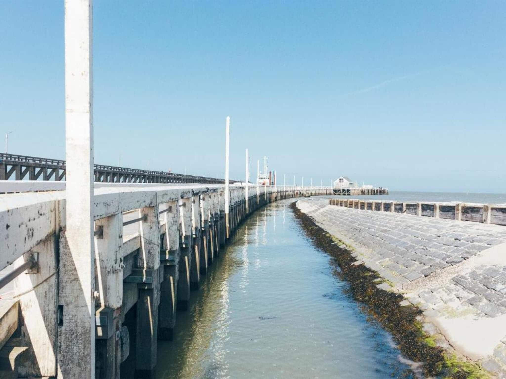 Apartment in Blankenberge near the Beach