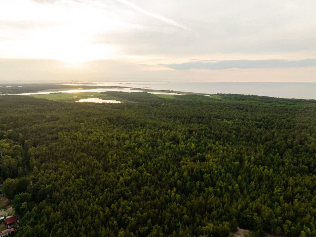 20240618-inphoto.pl-180