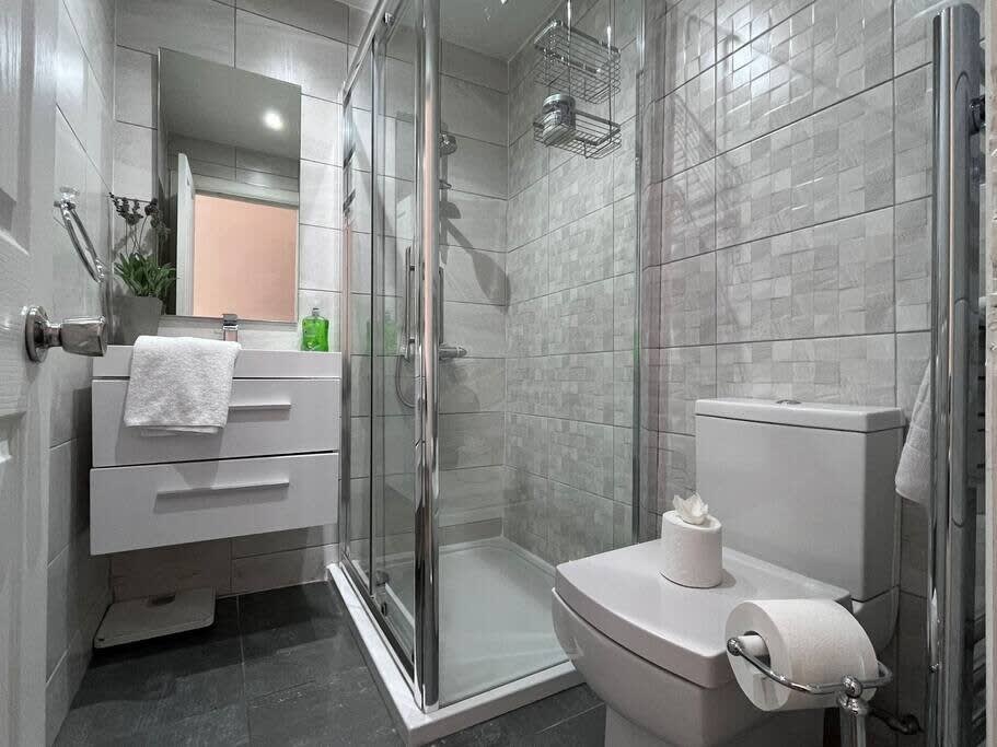 Stylish shower room