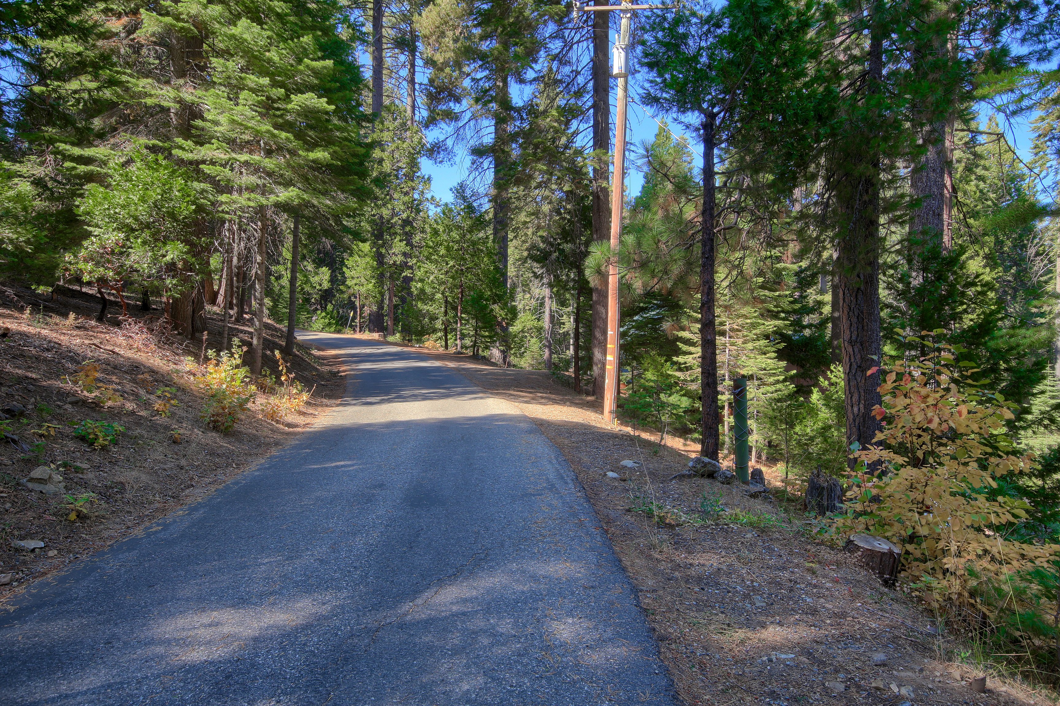 The road to your next adventure!