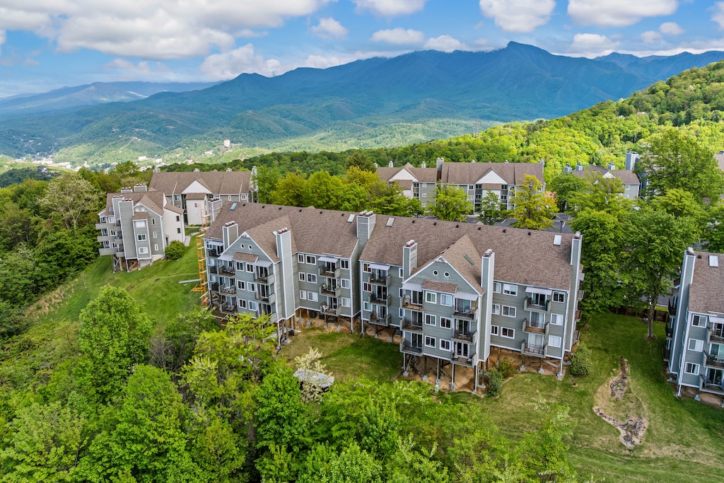 Aerial Property View