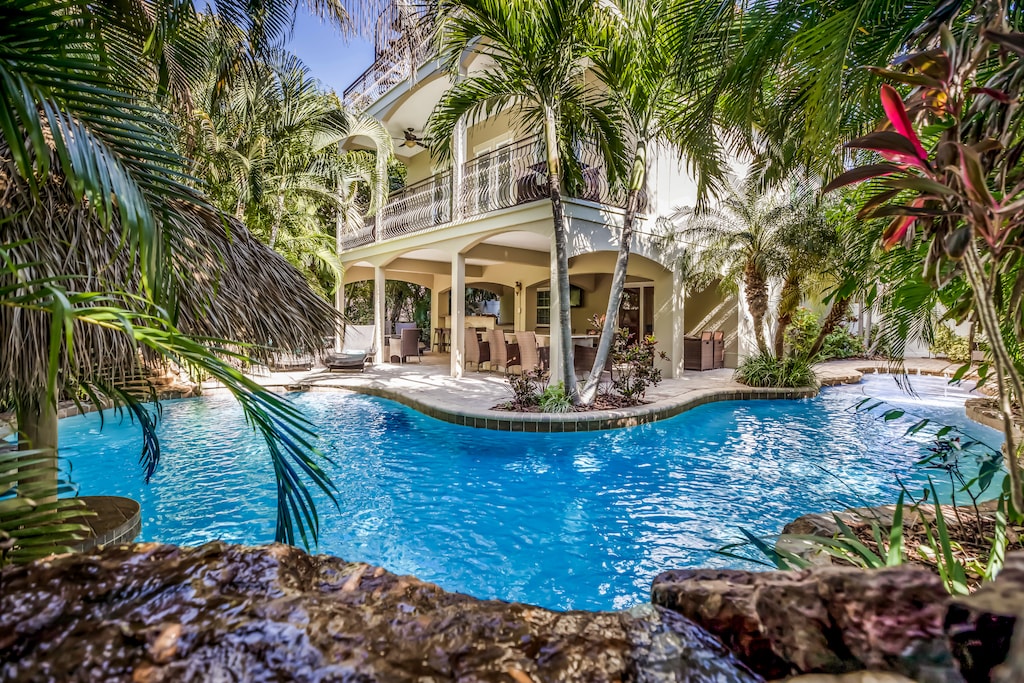 Its A Jungle Out There - By Anna Maria Island Accommodations